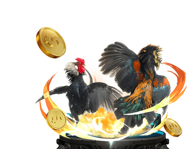 Tổng quan về đá gà trực tuyến 99win login